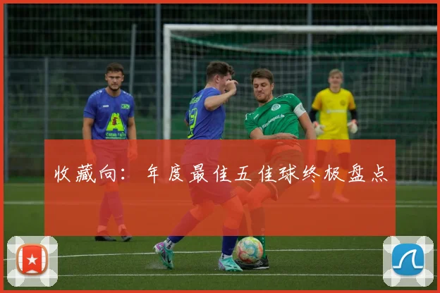 收藏向：年度最佳五佳球终极盘点